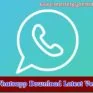 fm whatsapp android apk download